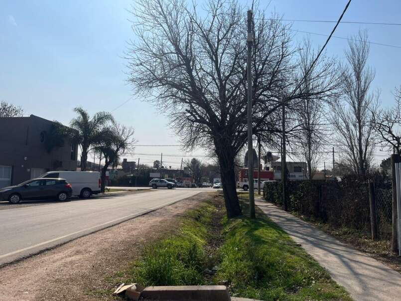 Candelaria 2125